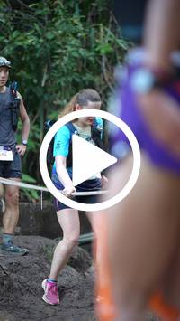 BIB:  <button type="button" onclick="openModal(27706670)" class="btn btn-primary btn-sm float-right" data-toggle="modal" data-target=".modal-high-quality">
                <i class="fa fa-download"></i> Download
                </button>